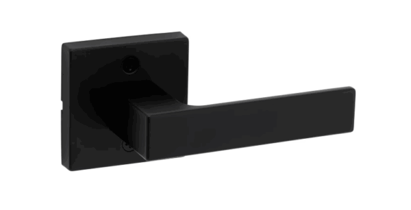 Singapore Privacy - Matte Black